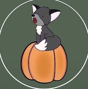 Meet your Posher, Marie-philippe